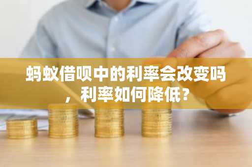 蚂蚁借呗中的利率会改变吗，利率如何降低？