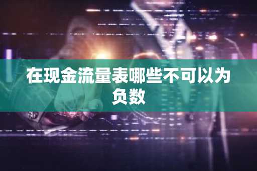 在现金流量表哪些不可以为负数