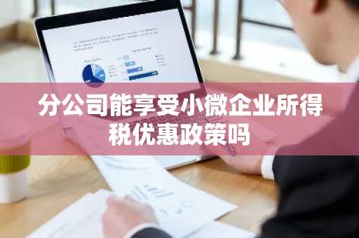 分公司能享受小微企业所得税优惠政策吗