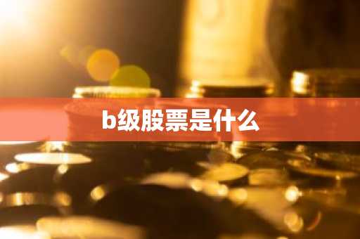 b级股票是什么