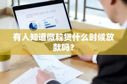 有人知道微粒贷什么时候放款吗？