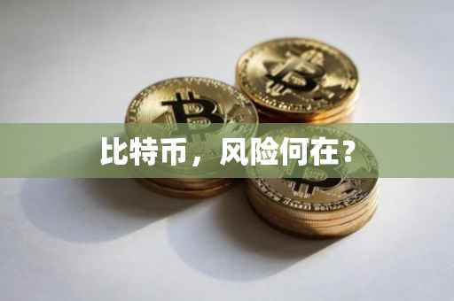 比特币，风险何在？