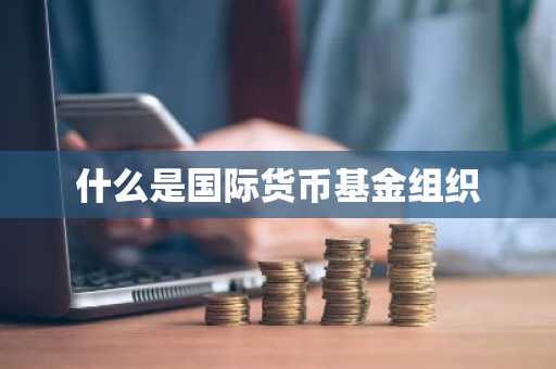 什么是国际货币基金组织
