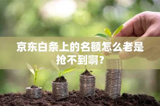 京东白条上的名额怎么老是抢不到啊？