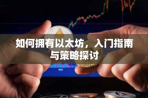 如何拥有以太坊，入门指南与策略探讨