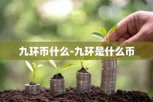 九环币什么-九环是什么币