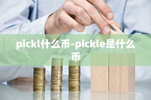 pickl什么币-pickle是什么币