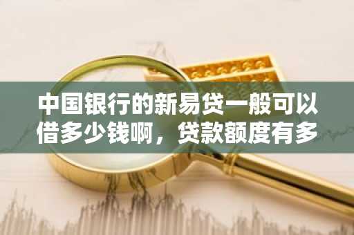 中国银行的新易贷一般可以借多少钱啊，贷款额度有多少啊？
