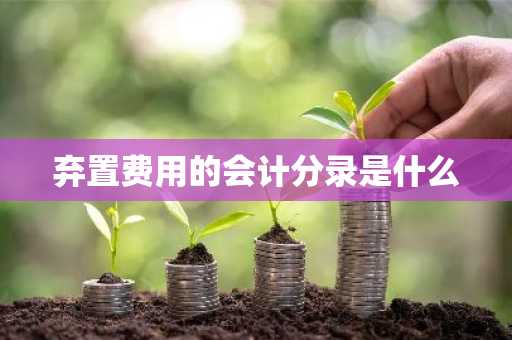 弃置费用的会计分录是什么