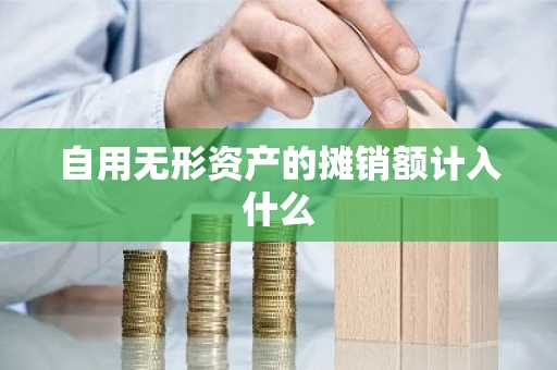 自用无形资产的摊销额计入什么