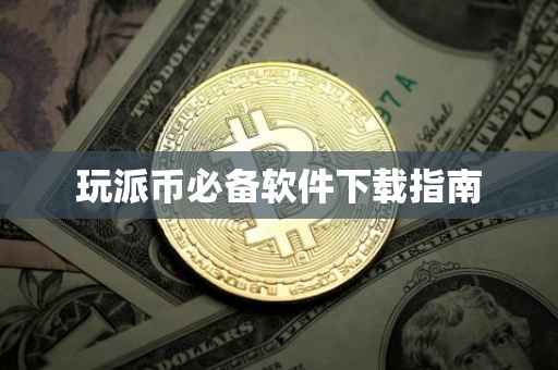 玩派币必备软件下载指南