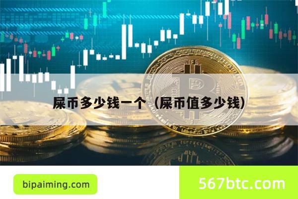 屎币多少钱一个（屎币值多少钱）