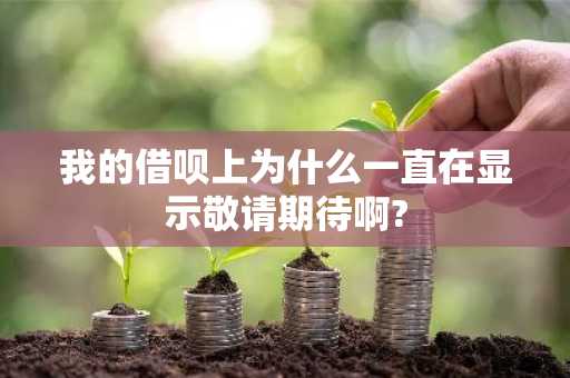 我的借呗上为什么一直在显示敬请期待啊?