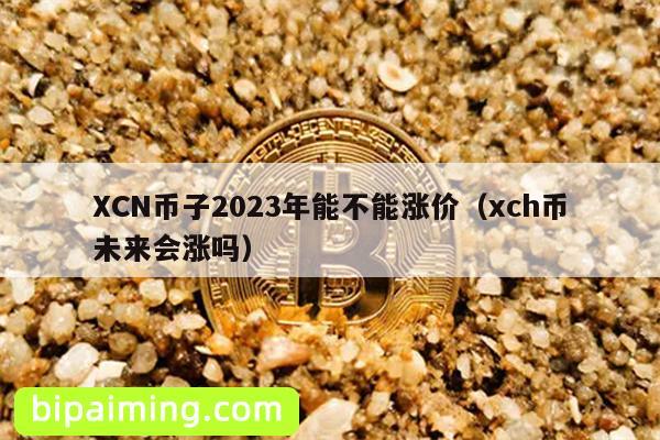 XCN币子2023年能不能涨价（xch币未来会涨吗）