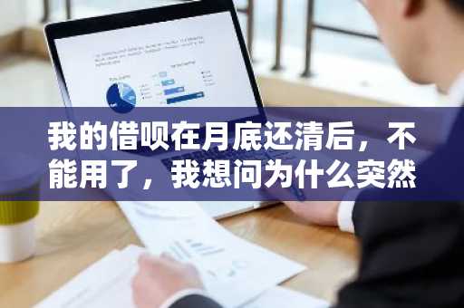 我的借呗在月底还清后，不能用了，我想问为什么突然就没有额度了啊？