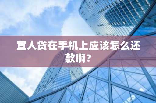 宜人贷在手机上应该怎么还款啊？
