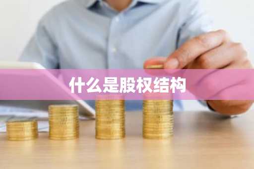 什么是股权结构