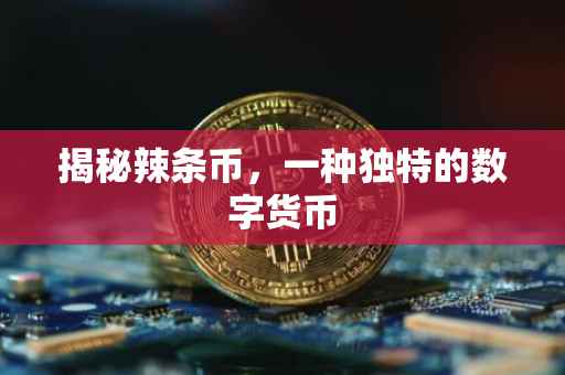 揭秘辣条币，一种独特的数字货币