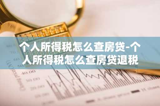 个人所得税怎么查房贷-个人所得税怎么查房贷退税