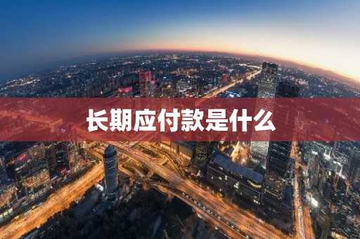 长期应付款是什么