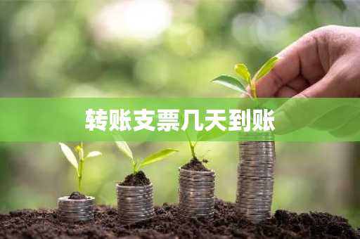 转账支票几天到账