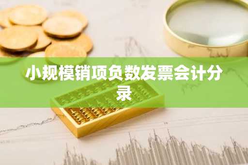 小规模销项负数发票会计分录