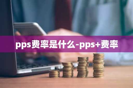 pps费率是什么-pps 费率