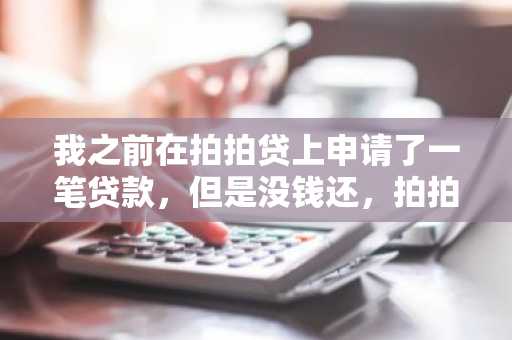 我之前在拍拍贷上申请了一笔贷款，但是没钱还，拍拍贷到期不还会怎样？