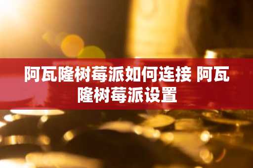 阿瓦隆树莓派如何连接 阿瓦隆树莓派设置