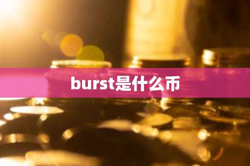 burst是什么币