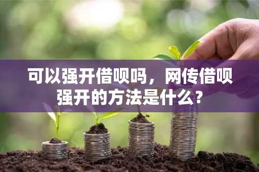 可以强开借呗吗，网传借呗强开的方法是什么？
