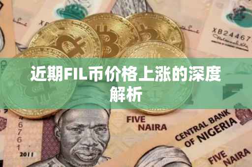 近期FIL币价格上涨的深度解析