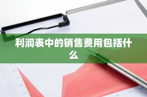 利润表中的销售费用包括什么