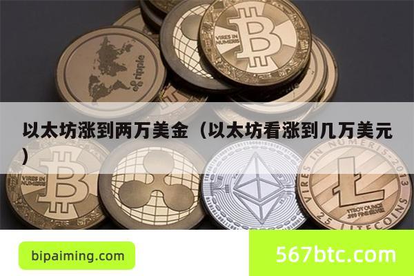 以太坊涨到两万美金（以太坊看涨到几万美元）