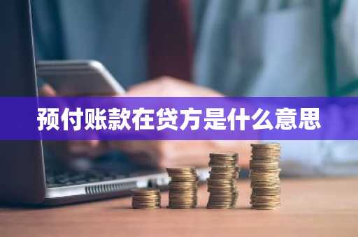 预付账款在贷方是什么意思