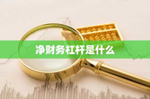 净财务杠杆是什么
