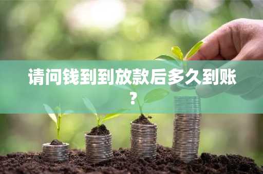 请问钱到到放款后多久到账？