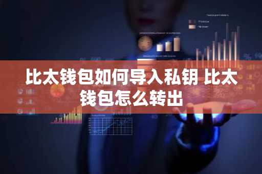 比太钱包如何导入私钥 比太钱包怎么转出