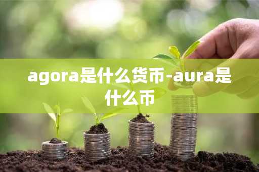 agora是什么货币-aura是什么币