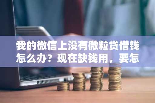我的微信上没有微粒贷借钱怎么办？现在缺钱用，要怎么开通？