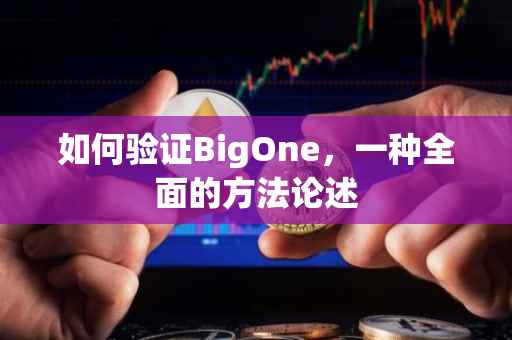 如何验证BigOne，一种全面的方法论述