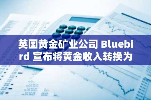 英国黄金矿业公司 Bluebird 宣布将黄金收入转换为比特币
