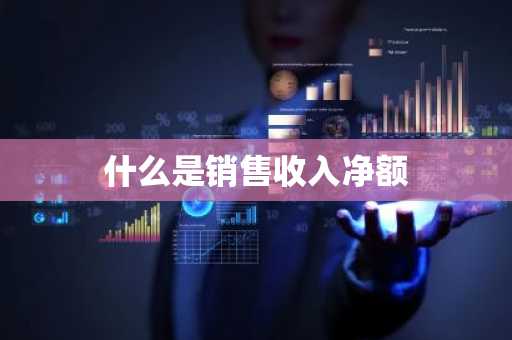 什么是销售收入净额