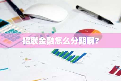 招联金融怎么分期啊？