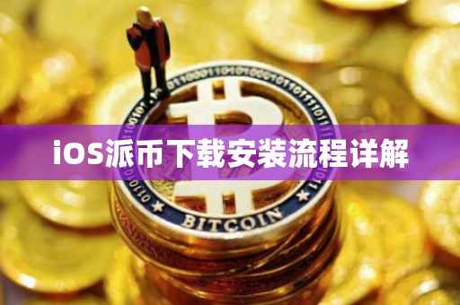 iOS派币下载安装流程详解