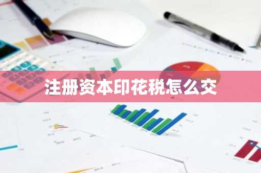 注册资本印花税怎么交