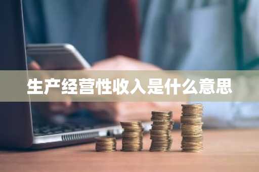 生产经营性收入是什么意思