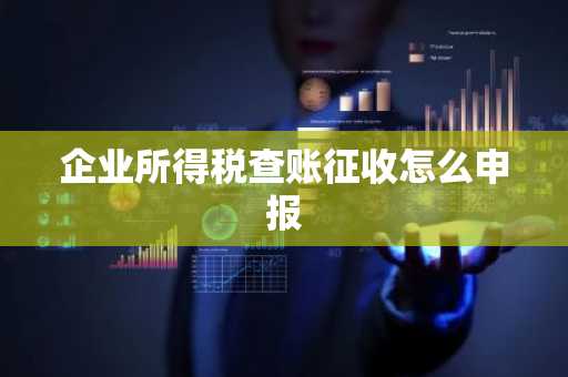 企业所得税查账征收怎么申报