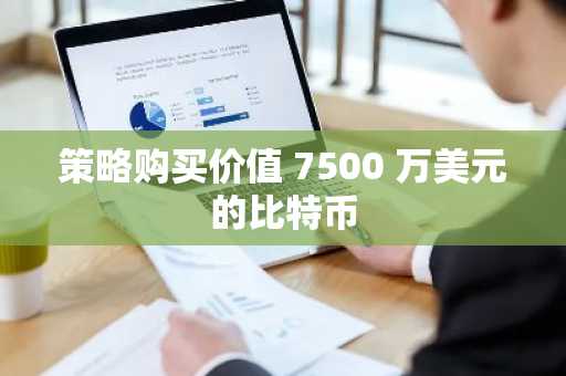 策略购买价值 7500 万美元的比特币