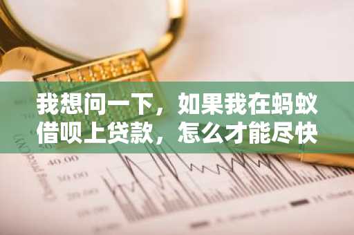 我想问一下，如果我在蚂蚁借呗上贷款，怎么才能尽快到账？